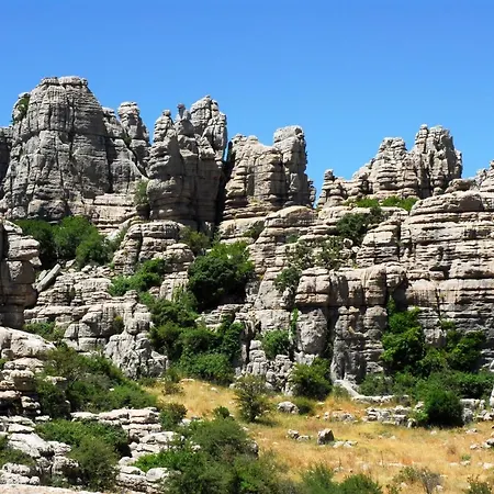 公寓 La Carihuela Ethnic